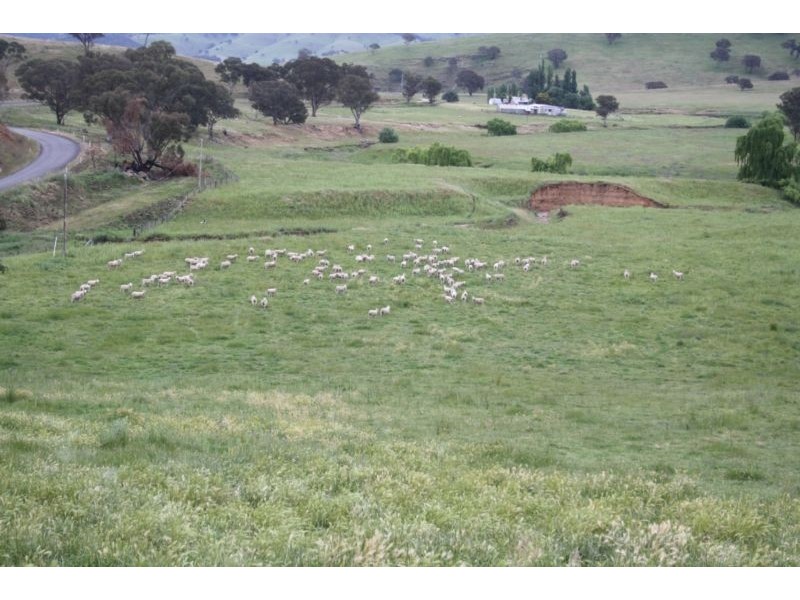 Mudgee NSW 2850