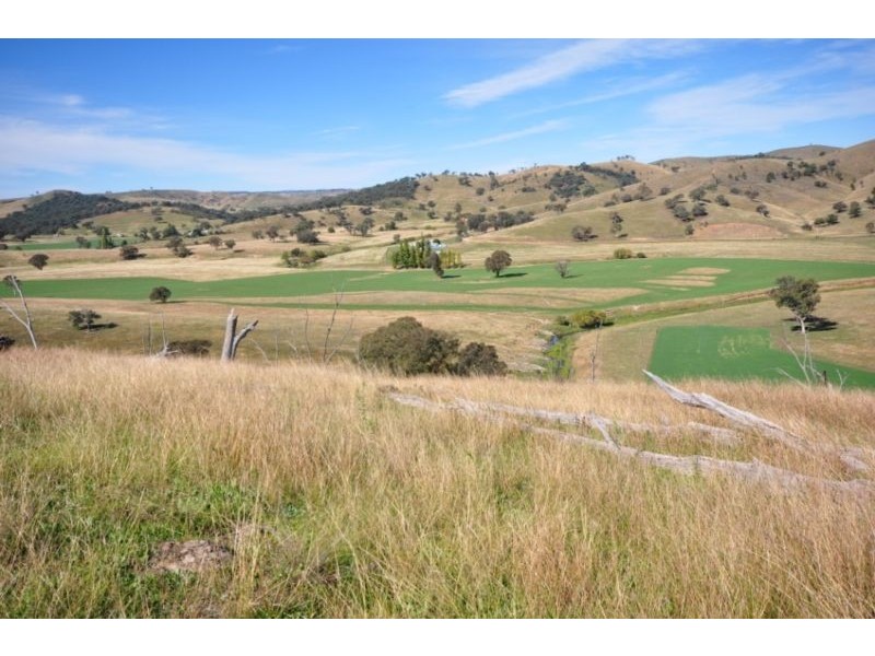 Mudgee NSW 2850