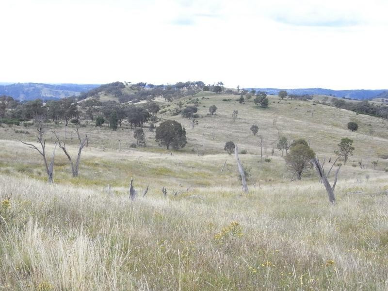 Mudgee NSW 2850