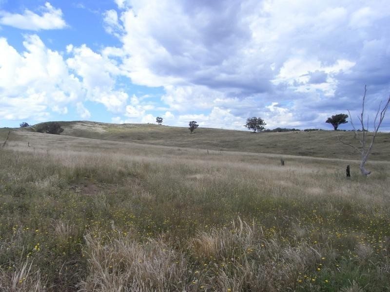 Mudgee NSW 2850