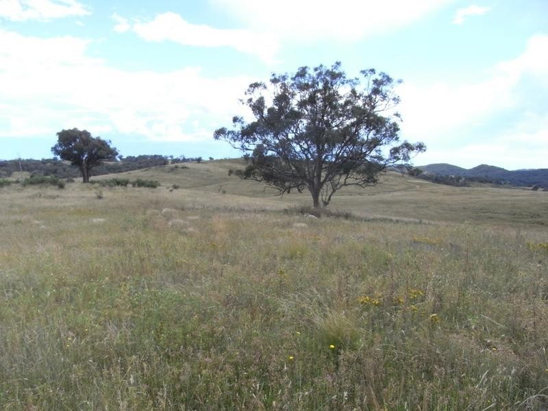 Mudgee NSW 2850