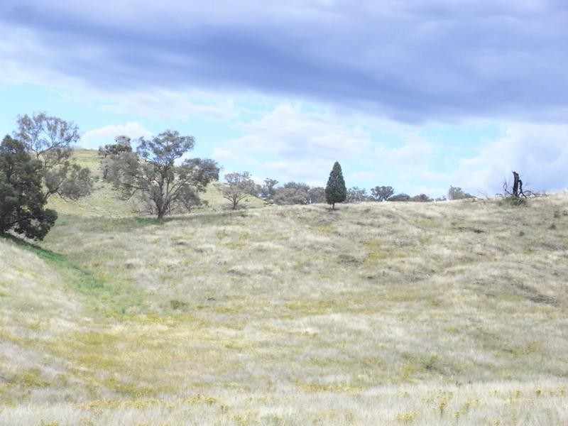 Mudgee NSW 2850