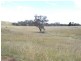Mudgee NSW 2850