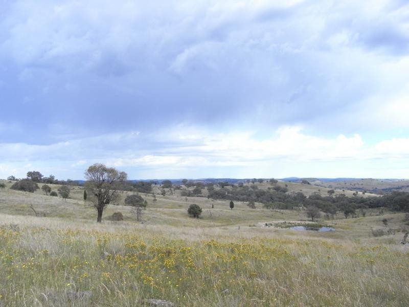 Mudgee NSW 2850