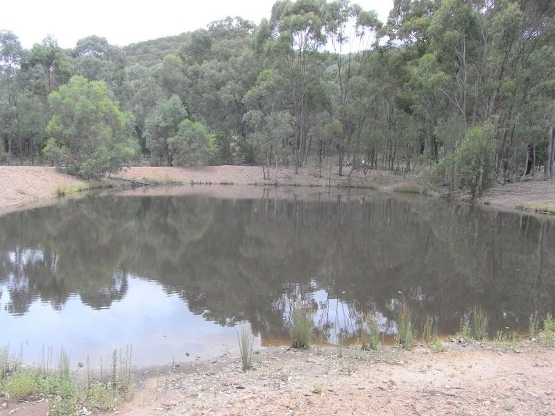 Mudgee NSW 2850