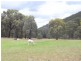 Mudgee NSW 2850