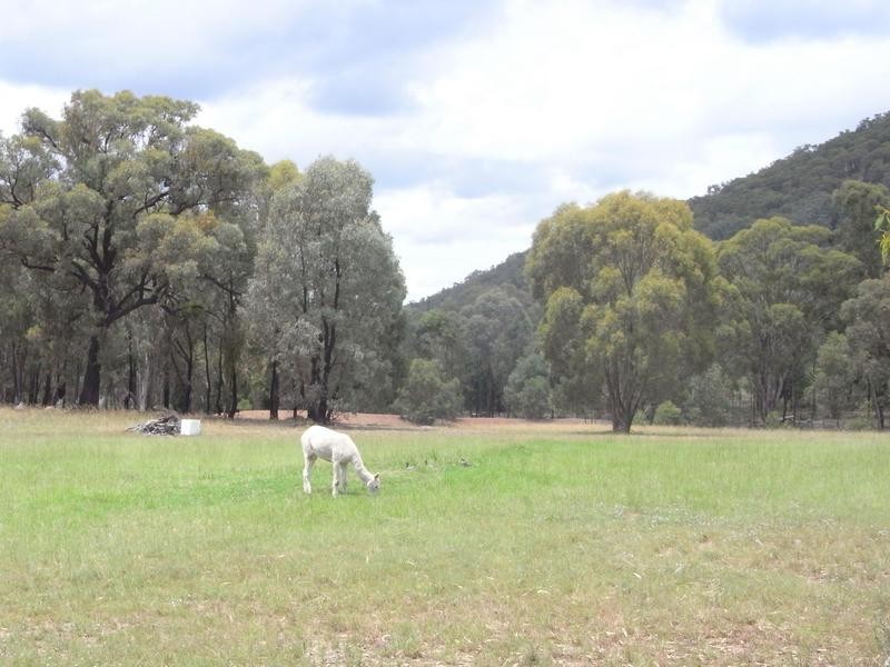 Mudgee NSW 2850