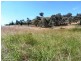 Mudgee NSW 2850
