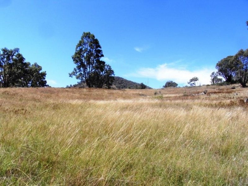 Mudgee NSW 2850