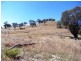 Mudgee NSW 2850