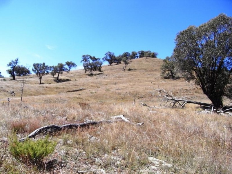 Mudgee NSW 2850