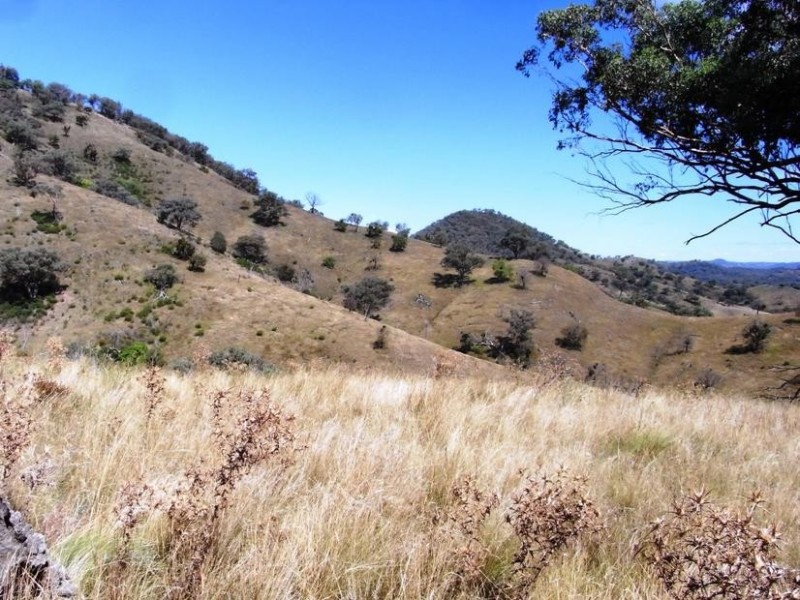 Mudgee NSW 2850
