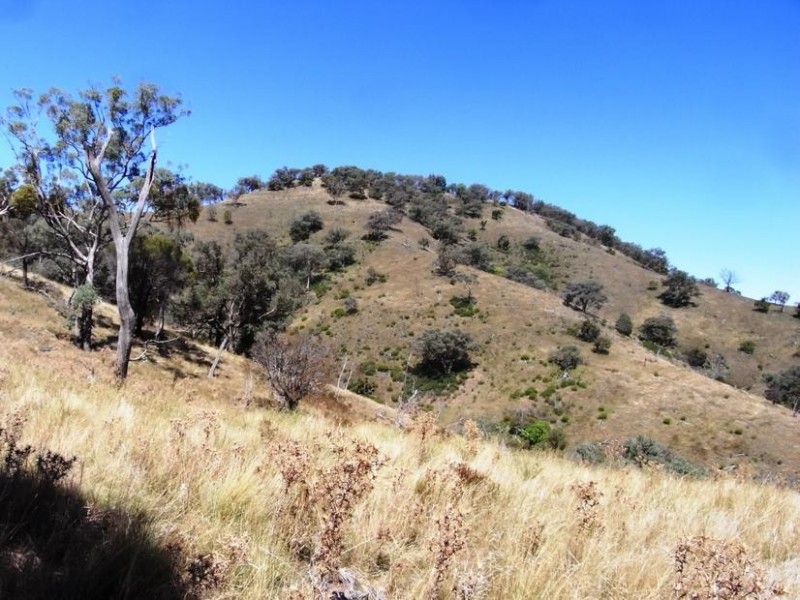 Mudgee NSW 2850