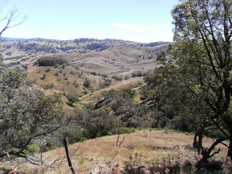 Mudgee NSW 2850