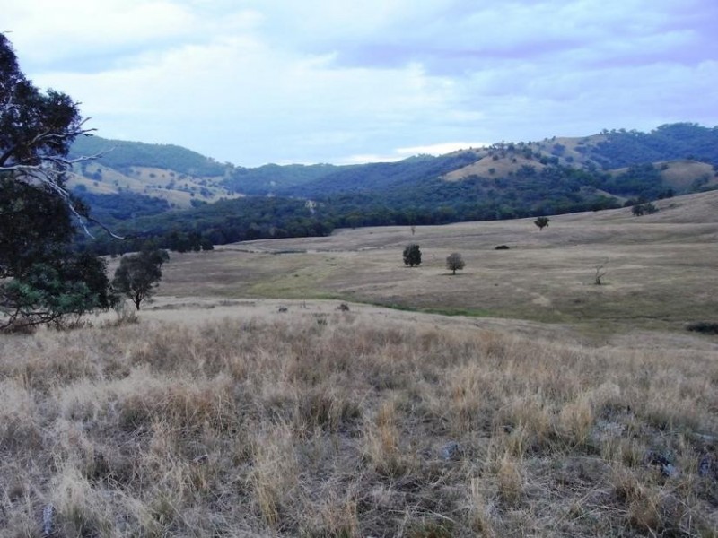 Mudgee NSW 2850