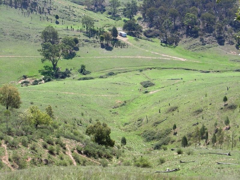 Mudgee NSW 2850