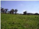 Mudgee NSW 2850