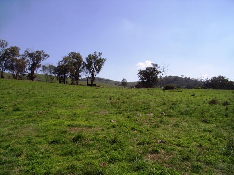 Mudgee NSW 2850