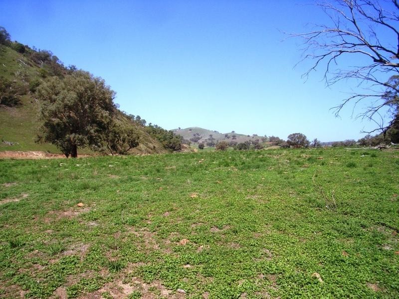 Mudgee NSW 2850