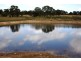 Mudgee NSW 2850