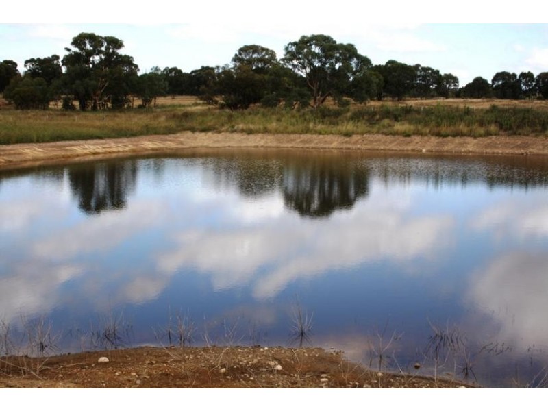 Mudgee NSW 2850