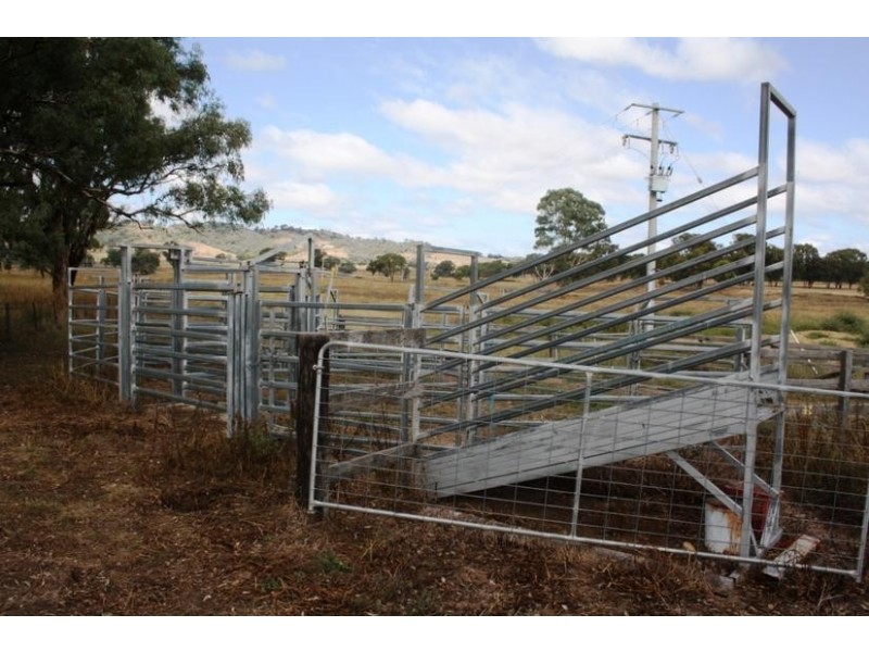 Mudgee NSW 2850