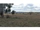 Gulgong NSW 2852