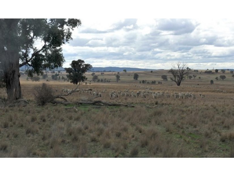 Gulgong NSW 2852