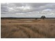 Gulgong NSW 2852