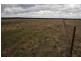Gulgong NSW 2852