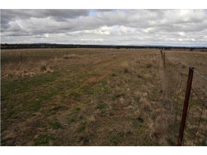 Gulgong NSW 2852