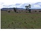 Gulgong NSW 2852