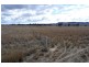 Gulgong NSW 2852