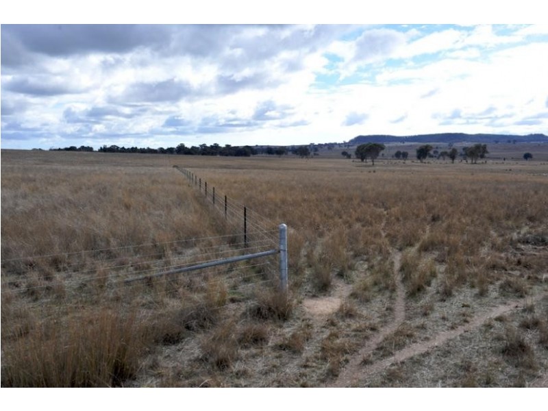 Gulgong NSW 2852