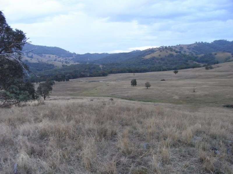 Mudgee NSW 2850