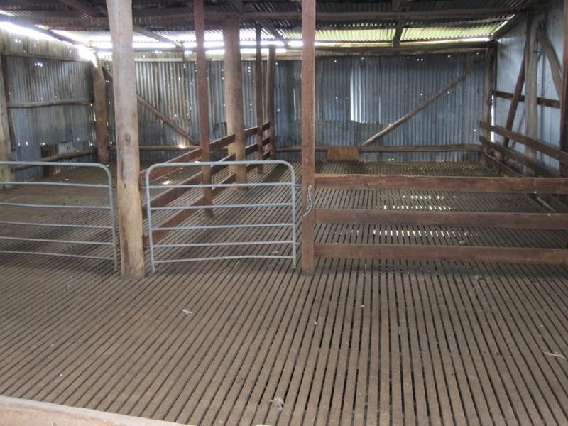 Mudgee NSW 2850