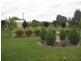 Mudgee NSW 2850