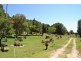 Mudgee NSW 2850
