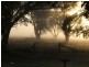 Mudgee NSW 2850