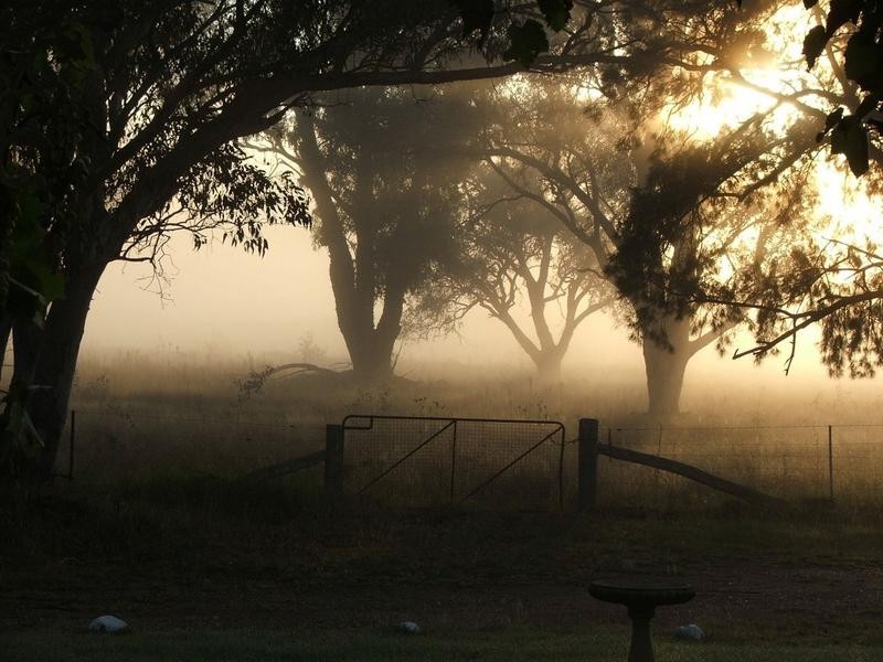 Mudgee NSW 2850