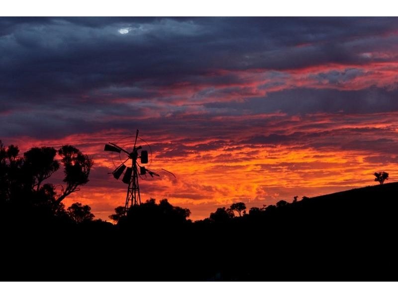 Mudgee NSW 2850