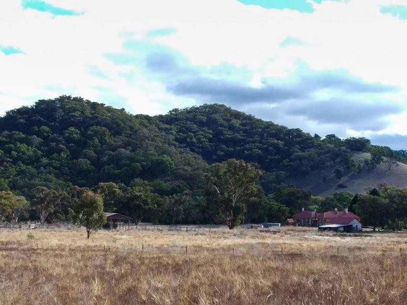 Mudgee NSW 2850