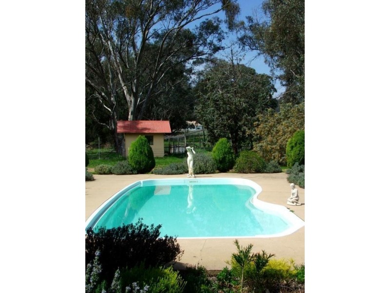Mudgee NSW 2850