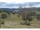 Mudgee NSW 2850