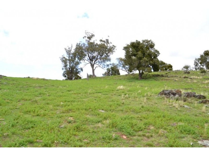 Mudgee NSW 2850
