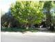 Mudgee NSW 2850