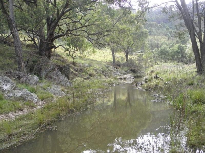 Mudgee NSW 2850