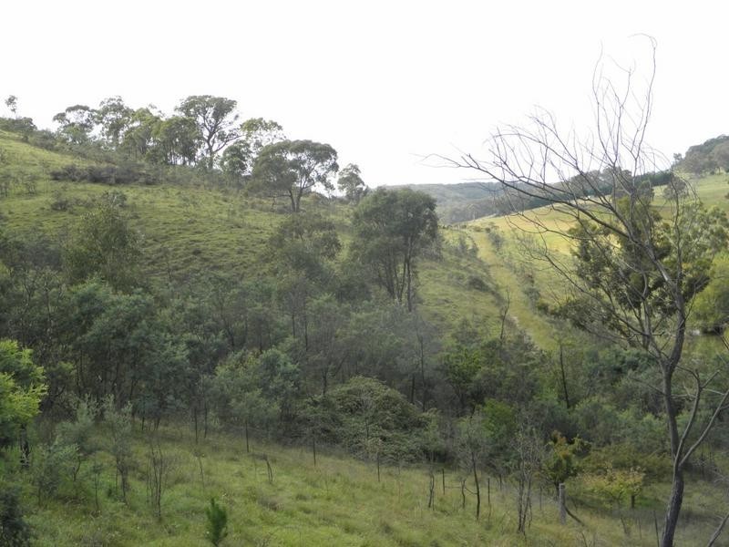 Mudgee NSW 2850