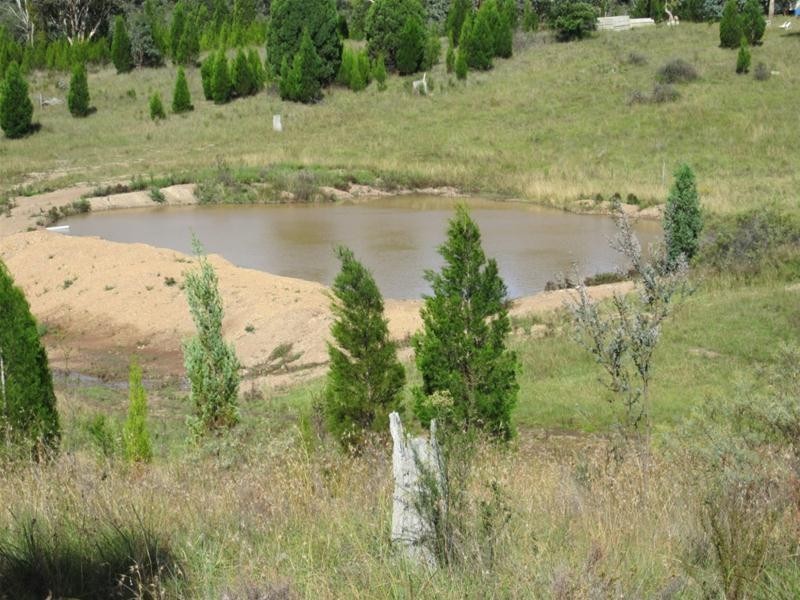 240 Windeyer Road, Mudgee NSW 2850