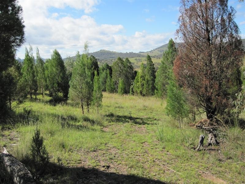 240 Windeyer Road, Mudgee NSW 2850